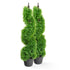 Artificial 3ft Boxwood Spiral Tree Pair